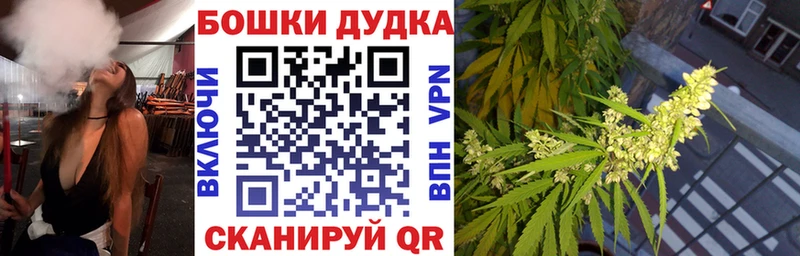 Каннабис план  KRAKEN ссылка  Гаврилов Посад  где купить  